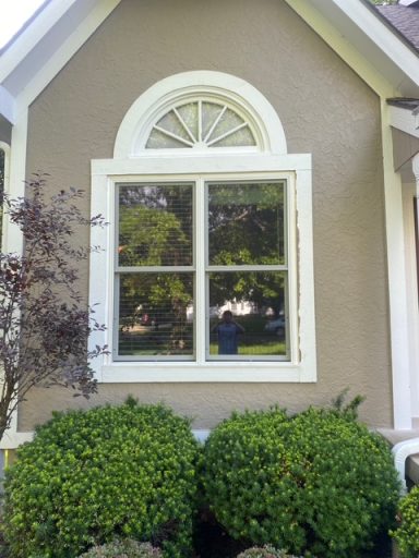 wood rot repair and paint